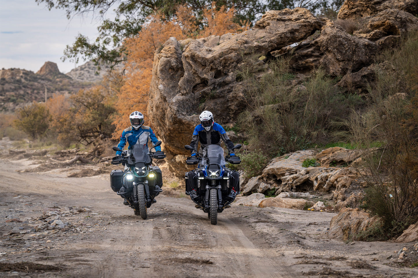 Adjustable gear shift lever CLEVER LEVER R1300 GS + Adventure - silver