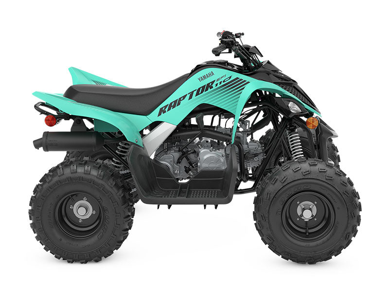 Raptor 110