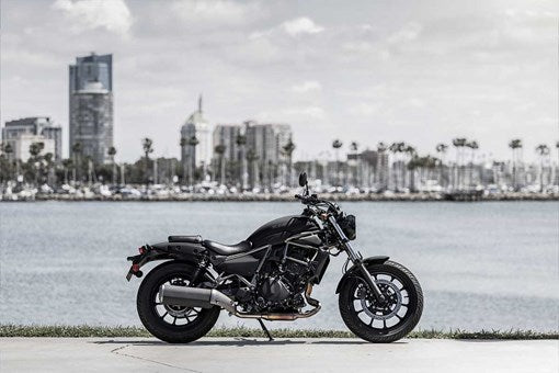 Kawasaki Eliminator 500 2025 Street Cruiser