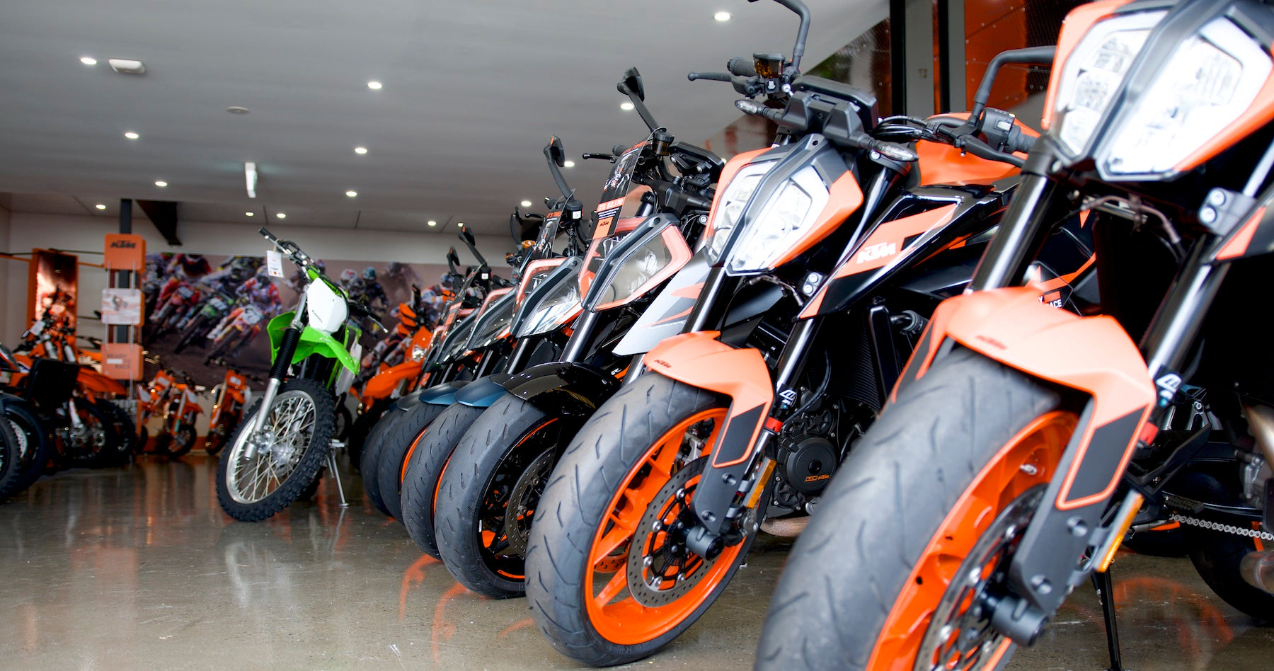 Procycles showroom with motorcycles lined up