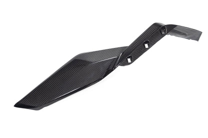 Ilmberger Side cover for lower tank - right - carbon