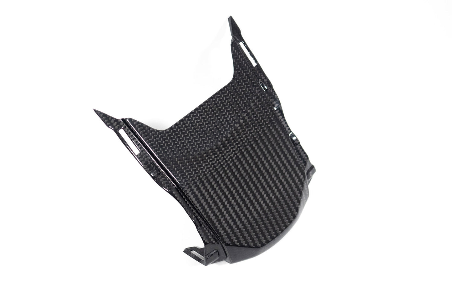 Ilmberger Tail fairing above - carbon