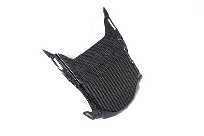 Ilmberger Tail fairing above - carbon