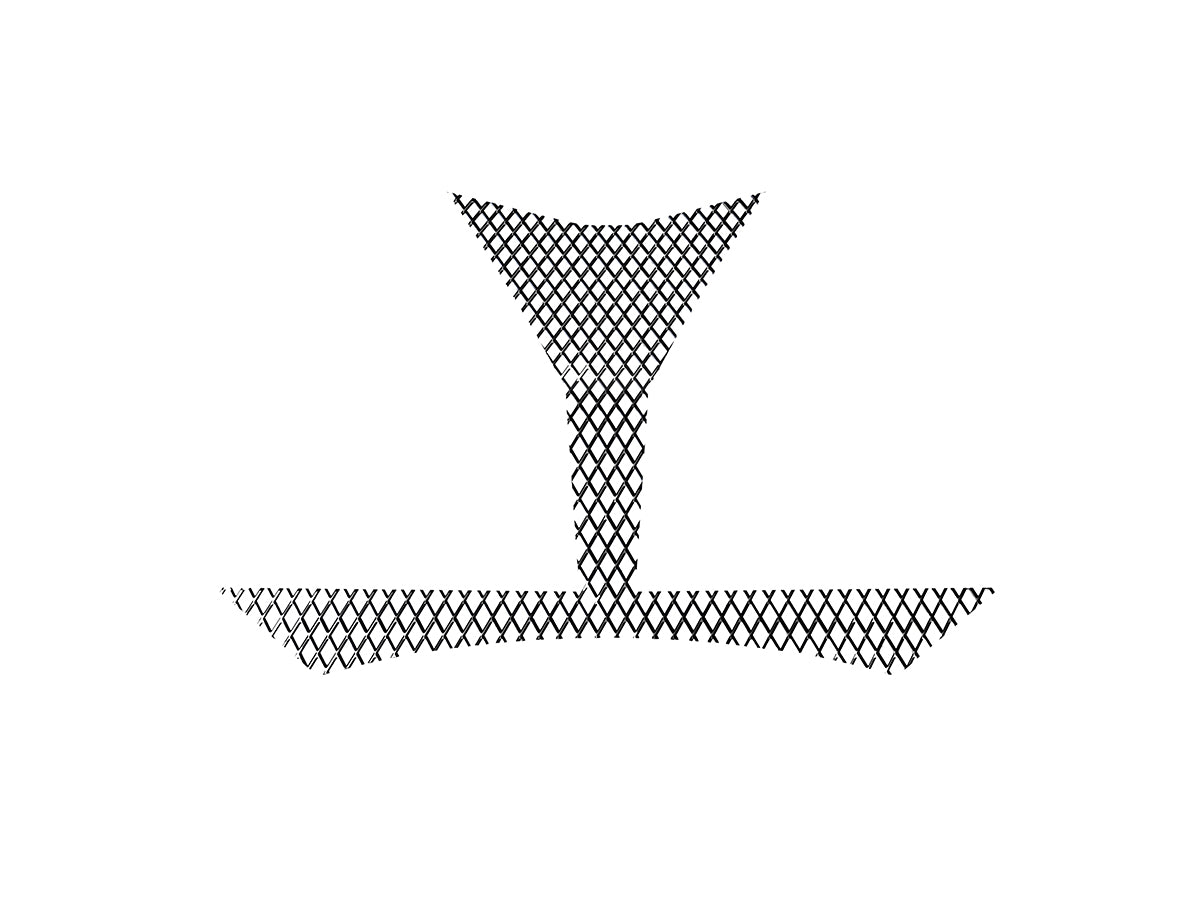 Intake Mesh