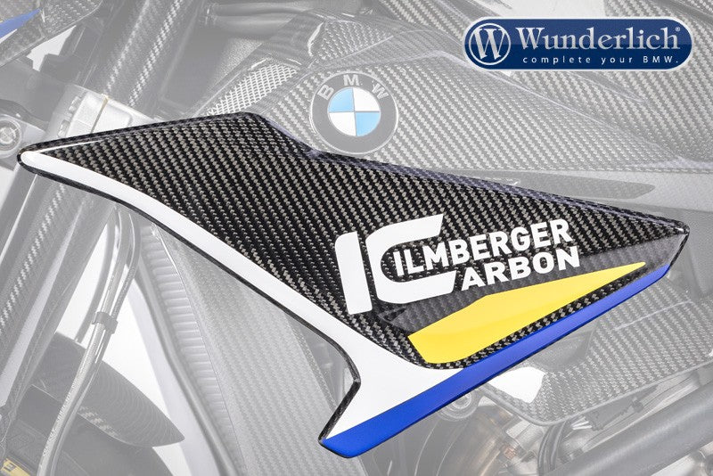 Windscreen S 1000 R (2017-) - left - carbon