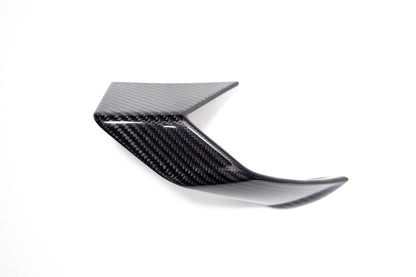 Ilmberger Faring Side Winglet S 1000 R - left - carbon - glossy