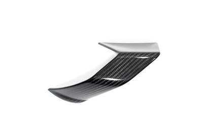 Ilmberger Faring Side Winglet S 1000 R - right - carbon - glossy