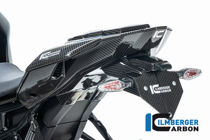 Ilmberger Frame Cover - carbon - bottom