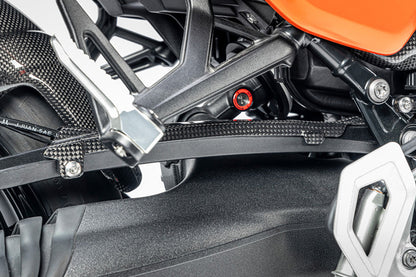 Ilmberger brake line cover R 12 nineT - carbon - glossy