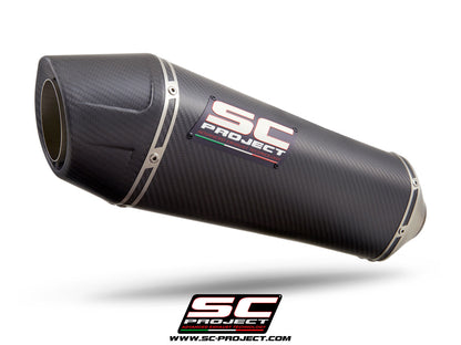 BMW R 1250 R (2019 - 2020) - RS X-Plorer II Muffler with Carbon fibre end cap