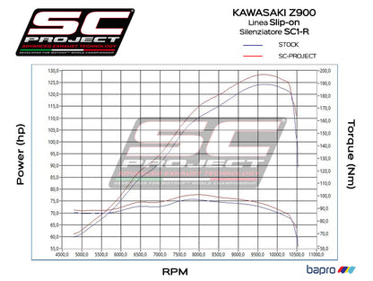 KAWASAKI Z 900 (2017 - 2019) SC1-R Muffler
