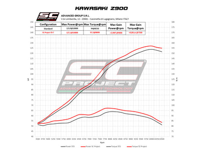 KAWASAKI Z 900 2020 CR-T Muffler, with Titanium mesh on exit pipe