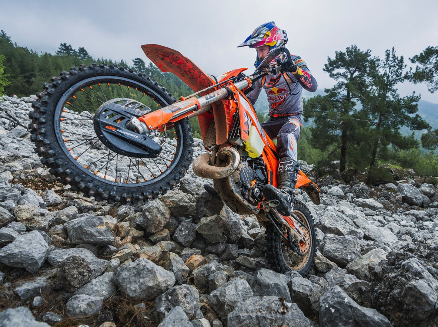 KTM 300 EXC HARDENDURO 2024 Enduro