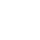 Kawasaki Icon